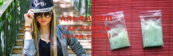 крисы Алексин