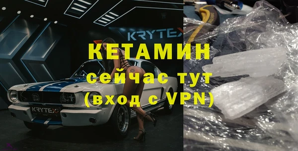 крисы Алексин