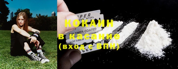 крисы Алексин