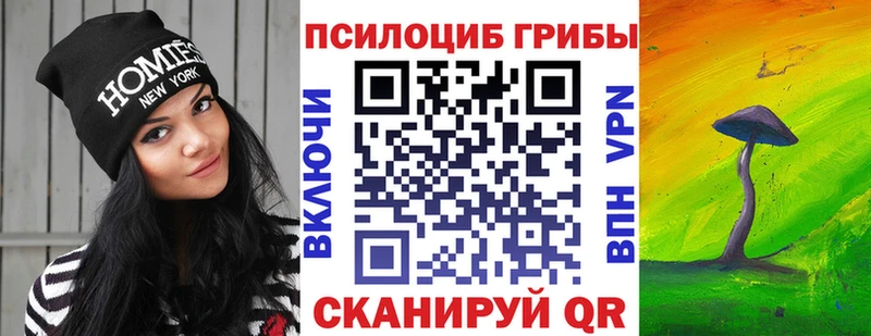 купить наркотик  Тюкалинск  МЕГА маркетплейс  Псилоцибиновые грибы Magic Shrooms 